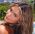 Pariya Carello
