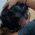 Paulinne