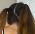 PawgShared94 profile