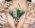 rinlin_x3 profile