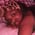 itshoorty_ profile