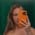 Sarahsworldd profile