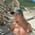 Victoria Alarcon profile