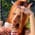 ilona_meoww profile