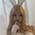 Lotusx profile