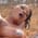 cashqueen_00 profile