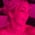 jpeg.hotdog profile