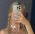 shellysecret  profile