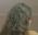 Slxttyaisha profile