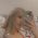 spicccy_t profile