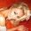 Stacey Robyn profile