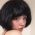 Torpechica profile