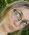 Wildflowerem  profile