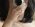 xjxxxxxxxj  profile