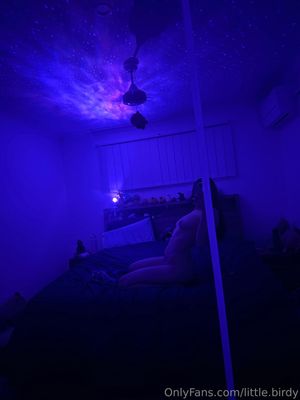 littlebirdyasmr-1 photo #37 photo n 37