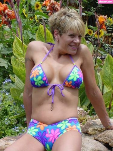 Webhoneys - Image