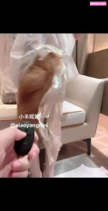 xiaoyangnini-1 video #54 photo n 54