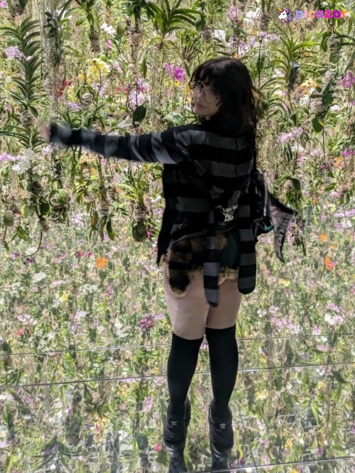 mylittlerobin  - Image