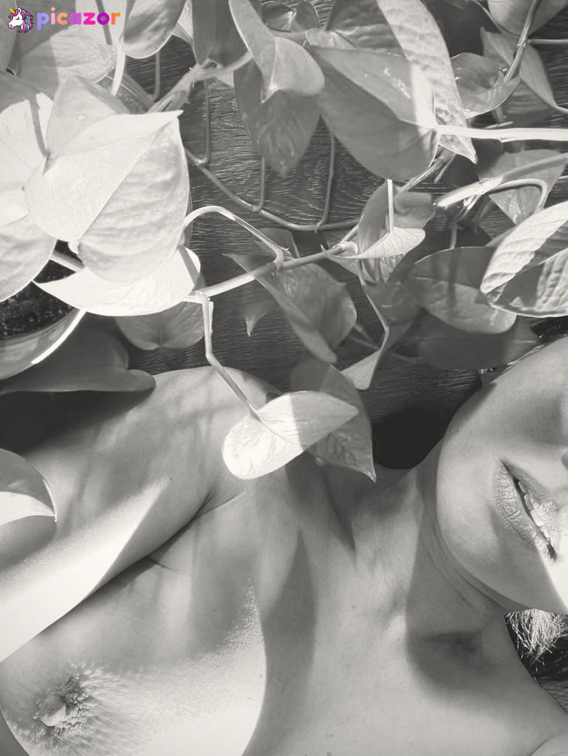 pillow_muses N34