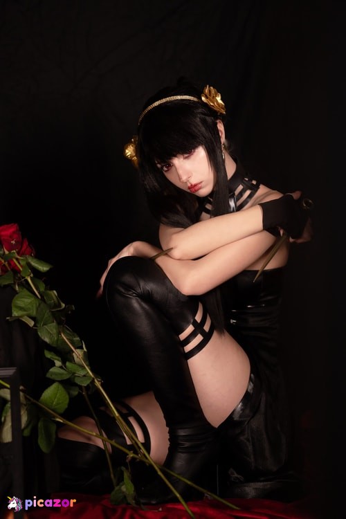 Himee lily - Image