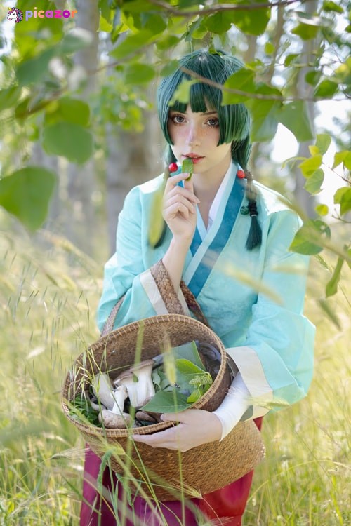 Himee lily - Image
