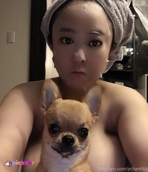 pchan666 N3