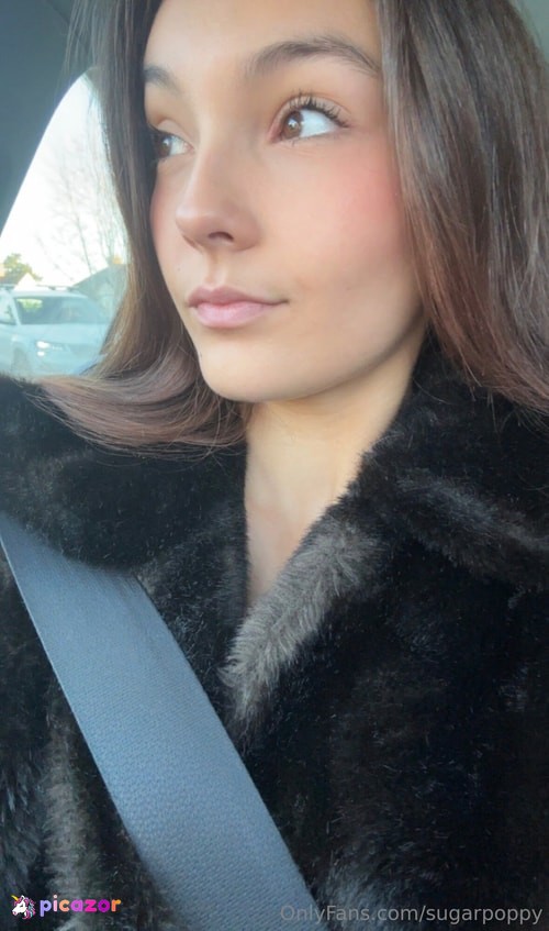 Sugarpoppy - Image
