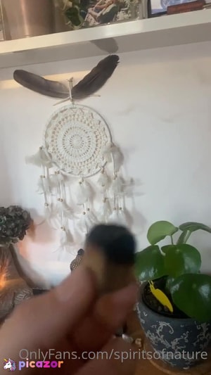 spiritsofnature video #35 photo n 35