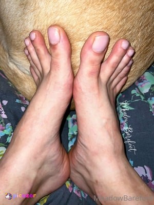 meadow-barefoot photo #17 photo n 17