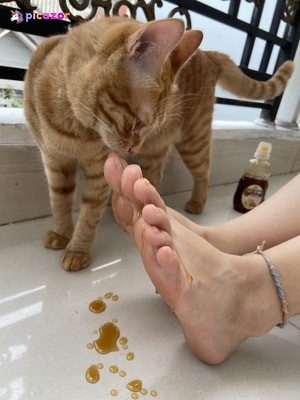 feetbecks photo #4 photo n 4