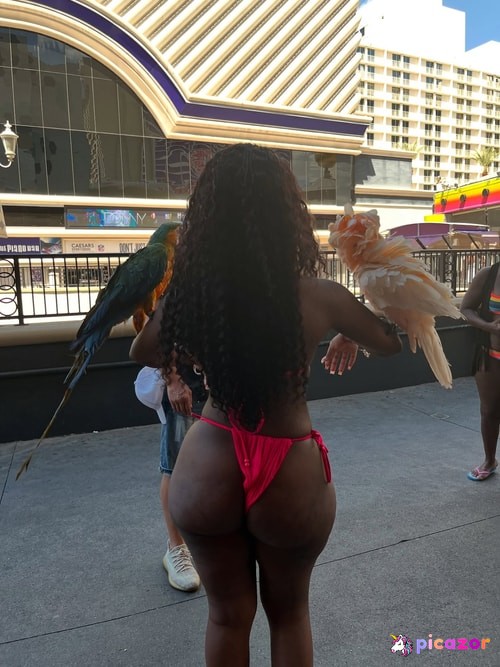 Neenah Brown - Image