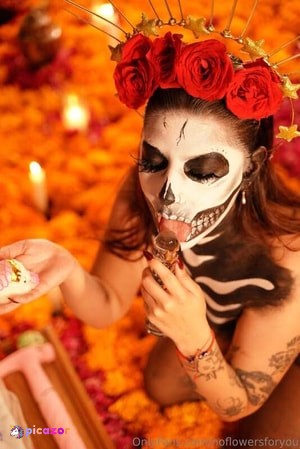 noflowersforyou photo #125 photo n 125