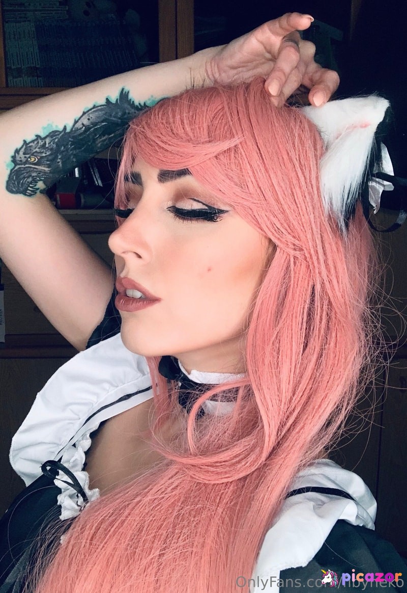 fibyneko N1
