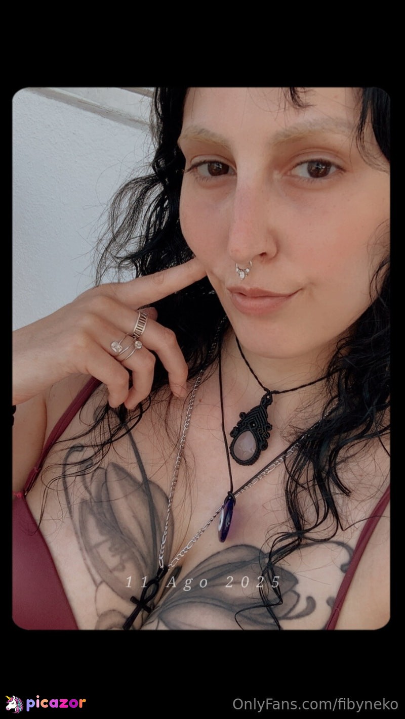 fibyneko N4