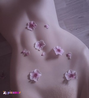 toyslust photo #3 photo n 3
