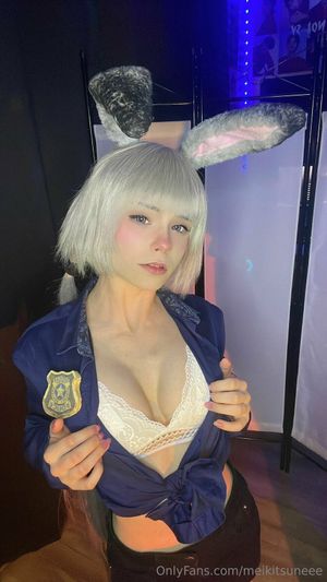 meikitsune  N23