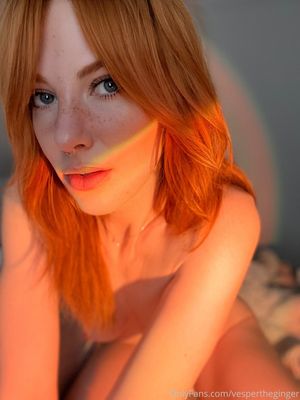 vespertheginger-1 photo #2021 photo n 2021