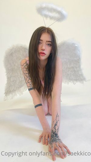 saekkico  N2