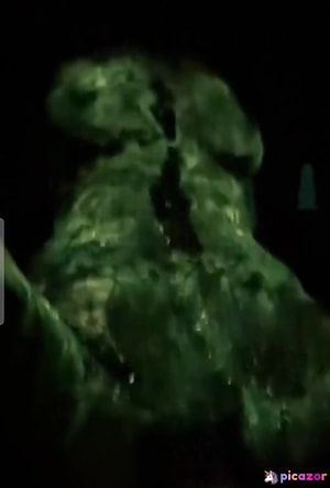 ellexxaurus video #12 photo n 12