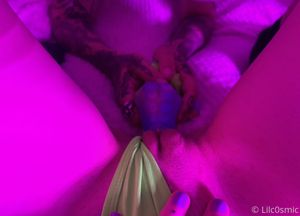 cosmiccreatures-2 photo #1464 photo n 1464