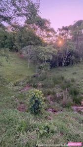 rafaela-nery video #528 photo n 528