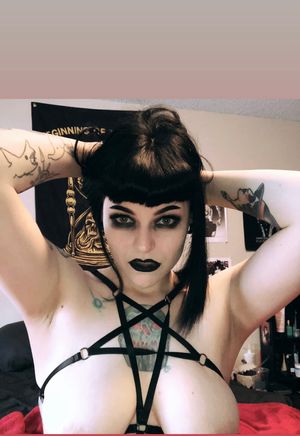 Hollyeekitty  N2