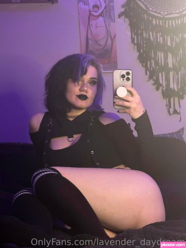 Lavender Daydream - Image