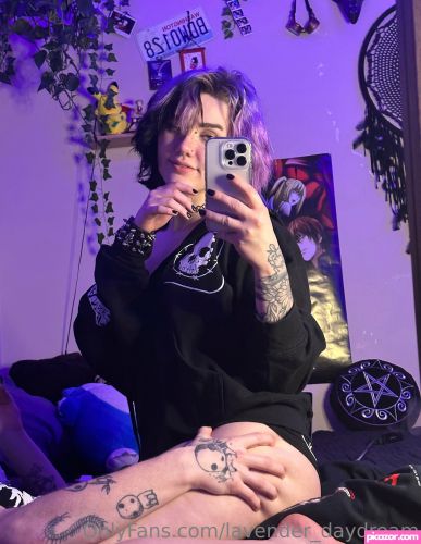 Lavender Daydream - Image