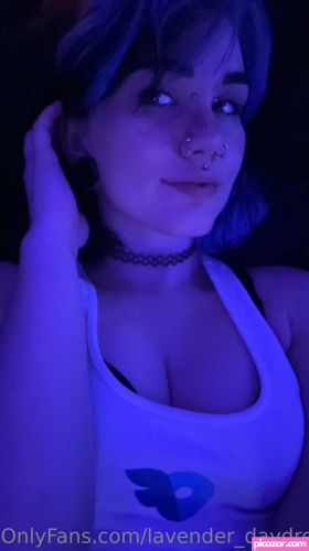 Lavender Daydream - Image