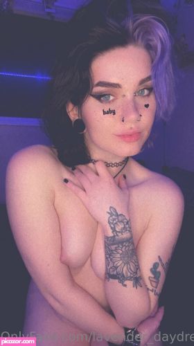 Lavender Daydream - Image