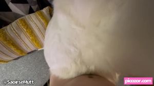 saoirsemutt video #36 photo n 36