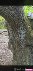 hopessecretpage-1 video #250 photo n 250