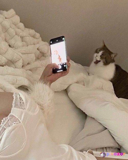 xouuuus - Image