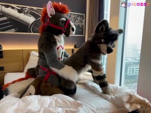 after_neigh video #10 photo n 10